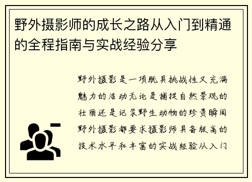 野外摄影师的成长之路从入门到精通的全程指南与实战经验分享